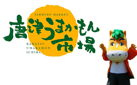 『先行予約』【6月下旬発送予定】唐津産 温室みかん 2.2kg 化粧箱 ハウスみかん ミカン 果物 フルーツ ギフト