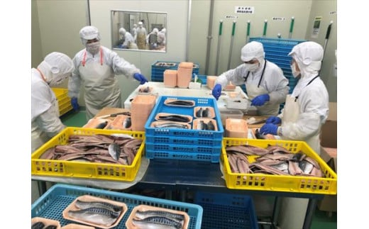昆布塩サバ詰合せ 約140g×36枚(合計約5kg) HACCP衛生管理 鯖 さば 切身 焼き魚 簡単 おかず「2024年 令和6年」
