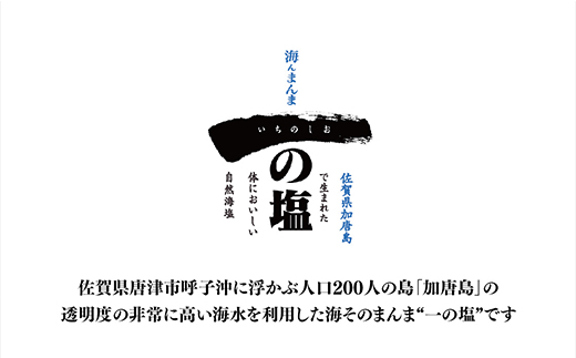 唐津 一の塩 1kg×5袋 (さらさらタイプ) 調味料 料理 しお ソルト