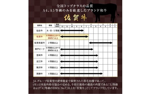 【8月中の発送】佐賀牛希少部位100g×6種類(合計600g) にくのともる厳選 焼肉用 A5～A4等級 食べ比べ ギフト キャンプ「2024年 令和6年」