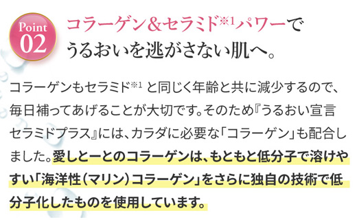 うるおい宣言セラミドプラスα マンゴー味 1箱 30本入 約1ヶ月 コラーゲンゼリー脂質ゼロ スティック