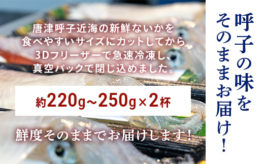 『先行予約』唐津呼子産いか活造り 2杯(約220g～250g×2) 急速冷凍 新鮮そのまま食卓へ！イカ 刺身 簡単 ギフト ※水揚げあり次第6月以降順次発送させていただきます。