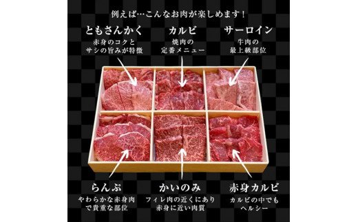 【8月中の発送】佐賀牛希少部位100g×6種類(合計600g) にくのともる厳選 焼肉用 A5～A4等級 食べ比べ ギフト キャンプ「2024年 令和6年」