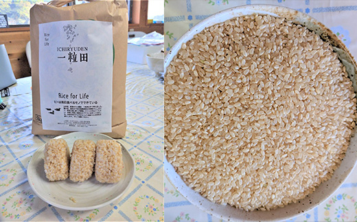 唐津産 あいがも米 5kg (玄米) 一粒田 合鴨農法 無農薬 無化学肥料 コメ お米 ごはん