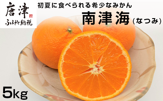 『予約受付』【令和7年4月上旬発送】南津海(なつみ) ハウス栽培 唐津産 5kg みかん ミカン 果物 フルーツ 柑橘