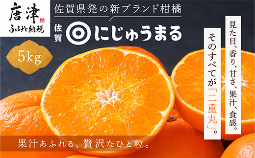 『先行予約』【令和9年3月上旬より順次発送】◎にじゅうまる◎ 5kg 佐賀県産【高級柑橘みかん】果物フルーツ 柑橘