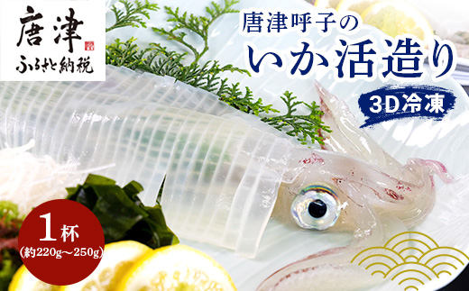 『先行予約』唐津呼子産いか活造り 1杯(約220g～250g) 急速冷凍 新鮮そのまま食卓へ！イカ 刺身 簡単 ギフト ※水揚げあり次第6月以降順次発送させていただきます。