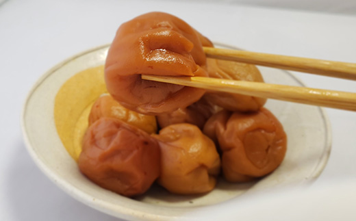 åæŽ¥åžäžå±±å髿¢
ã¯ã¡ã¿ã€æ¢
(500gÃ1) æ¢
å¹²ã ãããŒã ãã ãã ã飯ã®ãäŸ ïŒirodoriããã€åå£ã®è¿ç€Œå