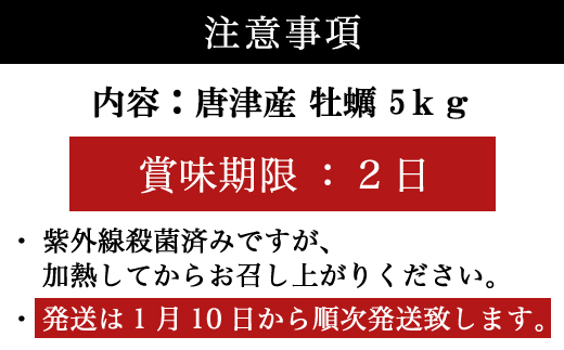 『先行予約』【令和7年1月10日から発送】いろは島の料理長が厳選！唐津産 牡蠣5kg ナイフ 軍手付 (加熱用)殻付き かき カキ 殻付き牡蠣 養殖 まがき 貝 海鮮 シーフード