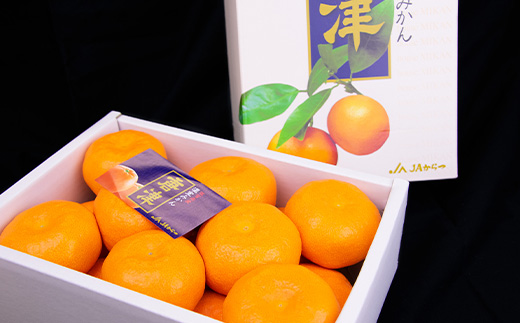 『先行予約』【6月下旬発送予定】唐津産 温室みかん 2.2kg 化粧箱 ハウスみかん ミカン 果物 フルーツ ギフト