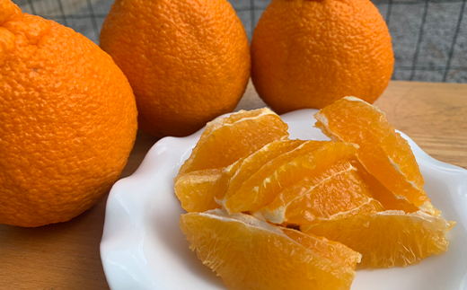 『予約受付』【令和6年2月下旬発送】こだわりの「ハウスデコ(しらぬい)」贈答箱1kg デコポン 不知火 ミカン みかん 柑橘 ギフト