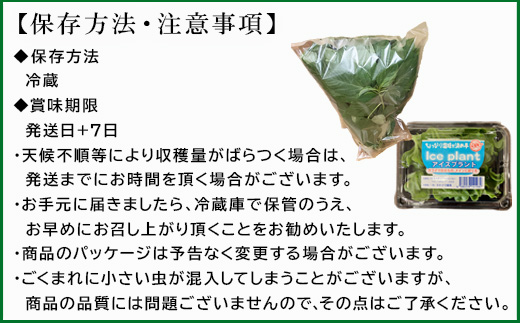 ãå
è¡äºçŽãã12æäžæ¬ããé æ¬¡çºéãå¬ç©«ãããŠã¹ã¢ããã€ã€(100gÃ5è¢)ãšã¢ã€ã¹ãã©ã³ã(70gÃ5P)ã»ãã 3ç®± ãããã 髿 é€äŸ¡ ããããæ°äœéš å®çªãã²ãã åæŽäžã®åçš®ã¹ãŒã ãèã»ãéã®ã¡ã€ã³æçã®ä»ãåãã