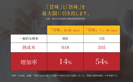 令和7年産 (熟成米) 佐賀県唐津産 さがびより 5kg×2(合計10kg) ご飯 ごはん 白米 お米 コメ