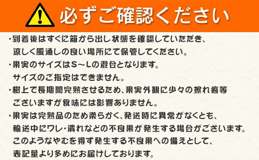 『先行予約』【令和7年1月から発送】吉田みかん園の樹上完熟みかん 10kg 柑橘 ミカン 蜜柑 フルーツ 果物