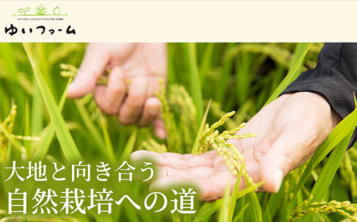 縲舌オ縺」縺上i濶カ繧縺九↑邊偵題ェ辟カ譬ス蝓ケ邀ウ2kg 螟「縺励★縺(逋ス邀ウ) 1陲 邊セ逋ス邀ウ 縺、繧縺斐ッ繧 邊堤ォ九■濶ッ螂ス 繧ゅ■繧ゅ■鬟滓─ 逕倥∩縺秘」ッ 縺翫↓縺弱j驕ゥ諤ァ 蜀キ繧√※繧らセ主袖縺励>縺秘」ッ 轤企」ッ鬟滓攝 蜴ウ驕ク邀ウ遨 蝗ス逕」邀ウ