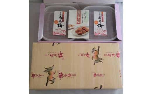 唐津七山 南高梅大粒はちみつ味 500g×2(合計1kg)「 irodoriからつ 四季の返礼品」山間から湧き出る澄んだ水をふんだんに含んだ土壌で栽培