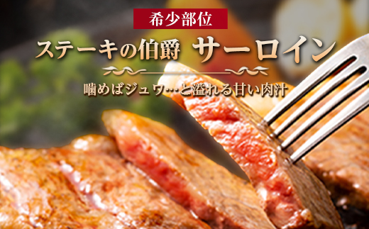 佐賀牛 サーロインステーキ 300g×3枚(合計900g) ステーキ 霜降り ギフト 焼肉 BBQ キャンプ 黒毛和牛 冷凍 小分け アウトドア 「2024年 令和6年」