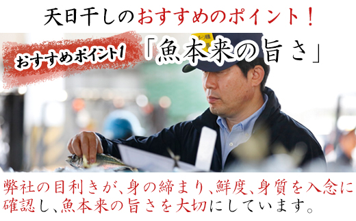 玄あじ玄さばと釣り赤むつの天日干し 3種12枚 セット 干物 おかず ギフト 昭徳