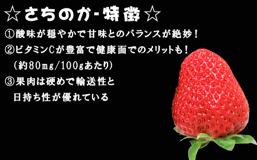 『先行予約』【令和7年3月より順次発送】濃厚苺 さちのか 250g×4パック(合計1kg) 濃厚いちご 苺 イチゴ 果物 フルーツ ビタミン