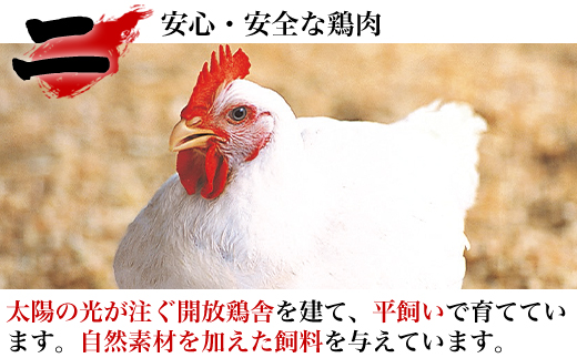 唐津市産 若鳥むね肉ささみ合計8kgセット 鶏肉 唐揚げ 親子丼 お弁当「2024年 令和6年」