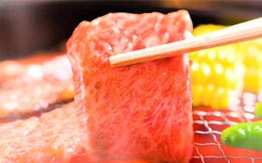 訳あり！艶さし！【A4〜A5】佐賀牛焼肉切り落とし 500g BBQ バーベキュー 焼き肉 お肉 牛肉 アウトドア 「2023年 令和5年」