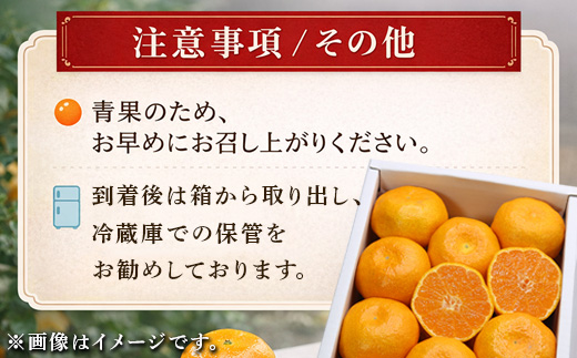 『先行予約』【令和9年2月上旬より順次発送】【特選甘熟みかん】はまさき 5kg 佐賀県産 果物フルーツ 柑橘