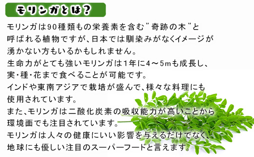 モリンガ (粉末500g・錠剤160粒・茶(1g×30袋)) お茶 スーパーフード モリンガパウダー ノンカフェイン サプリメント 無農薬