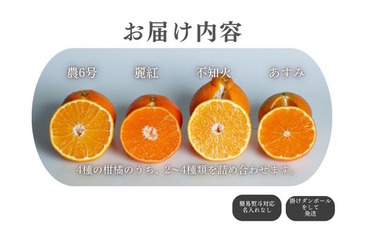 『予約受付』【令和7年1月中旬発送】唐津産ハウス育ち柑橘セット 2.5kg 手提げ箱 (麗紅・あすみ・不知火・農6号の中から2〜4種) 品種おまかせ 〜海と空と、みかん〜 ミカン フルーツ 柑橘 ギフト