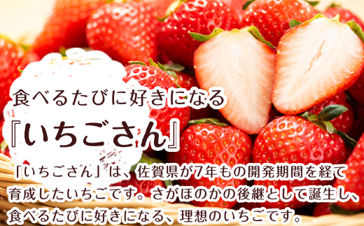 冷凍いちご(いちごさん) 500g×2袋(合計1kg)急速冷凍 新鮮 苺 フルーツ デザート 果物  アイス|JALふるさと納税|JALのマイルがたまるふるさと納税サイト