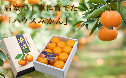 『先行予約』【令和8年7月上旬より順次発送】【全国出荷量1位】佐賀県ハウスみかん 1.8kg 高級甘熟みかん 果物フルーツ 柑橘