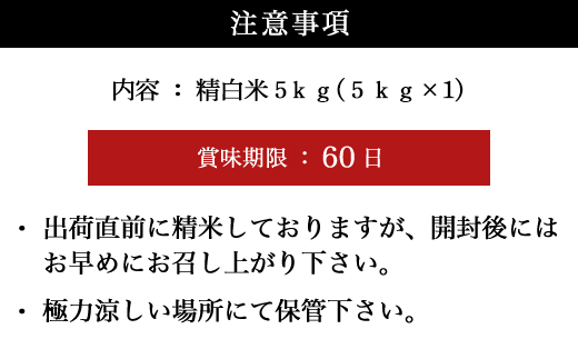 『先行予約』【令和6年産】特別栽培米 【一等米】 唐津市天川産 こしひかり 5kg 減肥減農薬で育てた特別栽培米をお届け たんぱく質が少なく食味が良いお米