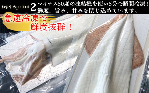『先行予約』呼子のいか活造り2杯! コリコリ甘い鮮度抜群の透明感! 約250g×2(合計約500g) 刺身 ギフト 冷凍※水揚げあり次第5月以降順次発送させていただきます。