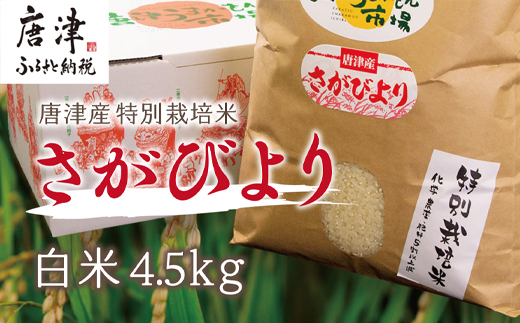 唐津産特別栽培米 さがびより(白米) 4.5kg 白米 ご飯 こめ お米 おにぎり