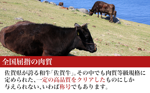 å³éžäœè³ç ããŒã¹ã¹ããŒã åèš500g (3æ)åœåºäžçªäººæ°ã®å®çªã¹ããŒããçæ§ã®é£åãžãå±ã