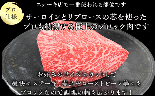 《プロシリーズ》佐賀牛 最上位部位ロースブロック500g 牛肉 ステーキ ローストビーフ かたまり ギフト 黒毛和牛 すき焼き しゃぶしゃぶ 希少部位 焼肉 自宅 BBQ アウトドア 「2023年 令和5年」