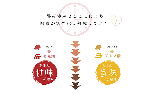 令和7年産 (熟成米) 佐賀県唐津産 さがびより 5kg×2(合計10kg) ご飯 ごはん 白米 お米 コメ