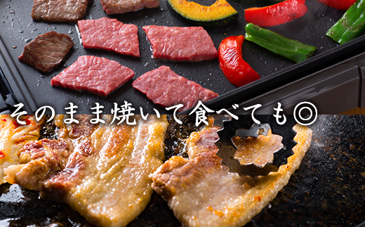 佐賀牛 華味鳥スペシャルBBQセット 5種(タレ付) 合計1.9kg 厳選 アウトドア 「2023年 令和5年」