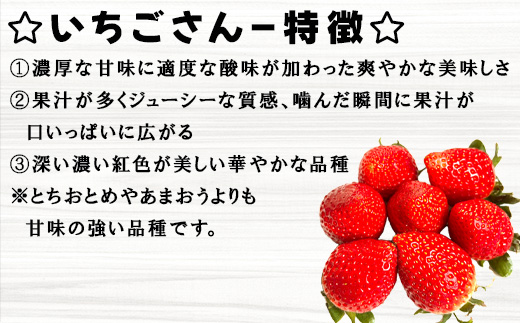 『先行予約』【令和７年5月中旬ごろより順次発送】苺そのままの甘酸っぱさ！プレミアム苺シャーベット 8個入 スイーツ カップ デザート 氷菓子 苺 イチゴ