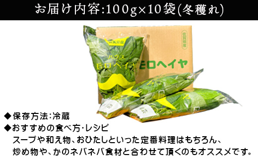 『先行予約』【12月上旬より順次発送】冬穫れハウスモロヘイヤ 100g×10袋 ネバネバ 高栄養価（βカロテン/各種ビタミン/カルシウム/カリウム/葉酸など) 定番おひたし 和洋中の各種スープ 色んなお料理のソースにも 野菜 ねばねば