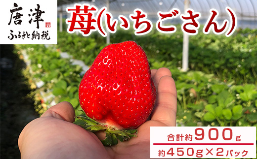 佐賀県唐津産いちごさん約450g×2パック(合計約900g) いちごさんイチゴ 果物