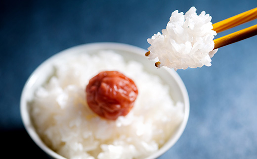 什å7å¹Žç£ (çæç±³) äœè³çåæŽ¥ç£ ç¹å¥æ œå¹ç±³ 倢ããã 5kg åæŽ¥ç£ ããã³ãã 5kg (åèš10kg) 24æéãããŠç²Ÿç±³ãç峿šå³ã¢ãã