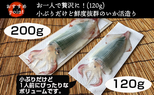 (æ°ééå®)åŒåã®ããæŽ»é ã (120gååŸÃ2)å°ã¶ãã§æ¯ããããå³ã鮮床ãæçŸ€ïŒ æµ·é®®