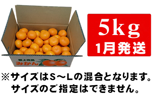 『先行予約』【令和7年1月から発送】吉田みかん園の樹上完熟みかん 5kg 柑橘 ミカン 蜜柑 フルーツ 果物