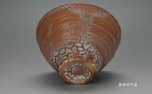 唐津焼 唐津 井戸盃＃irodoriからつ四季の返礼品