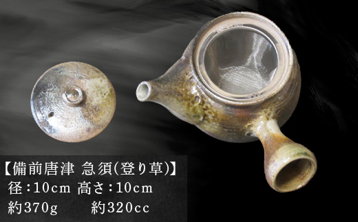 唐津焼 備前唐津 急須(登り草) 茶こし付き 茶器 きゅうす 日本茶 緑茶 ティーポット 食器 ギフト