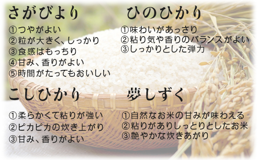 『先行予約』【令和6年産】お米 特選 5銘柄 食べ比べセット 10kg(2kg×5袋)佐賀県 唐津市産 (天川産こしひかり・上場産こしひかり・さがびより・ひのひかり・夢しずく)