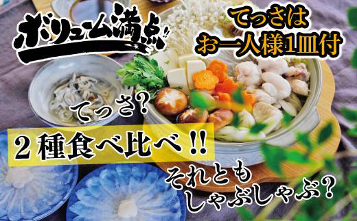 唐津産 とらふぐてっさと切り身の贅沢食べ比べ！6人前「2023年 令和5年」