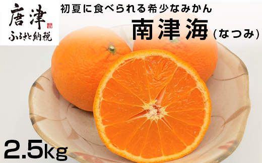 『予約受付』【令和7年4月上旬発送】南津海(なつみ) ハウス栽培 唐津産 2.5kg みかん ミカン 果物 フルーツ 柑橘