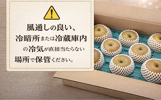『先行予約』【令和8年7月上旬より順次発送】唐津産 梨 5kg【旬の味覚】果物 フルーツ 幸水 豊水