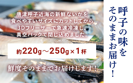 『先行予約』唐津呼子産いか活造り 1杯(約220g～250g) 急速冷凍 新鮮そのまま食卓へ！イカ 刺身 簡単 ギフト ※水揚げあり次第6月以降順次発送させていただきます。